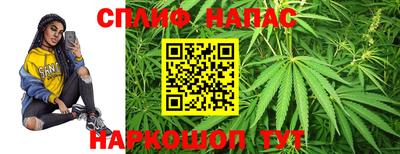 индика Аргун