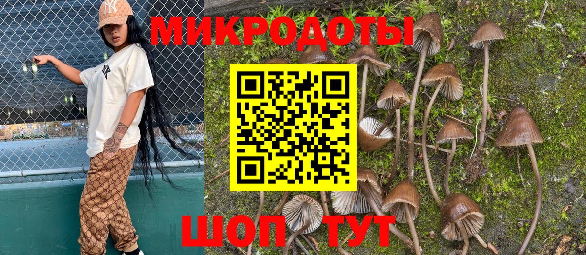 Мелеуз  Галлюциногенные грибы Magic Shrooms  цена наркотик  Галлюциногенные грибы Magic Shrooms  Вход с VPN 