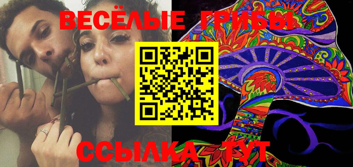 Галлюциногенные грибы GOLDEN TEACHER Мелеуз